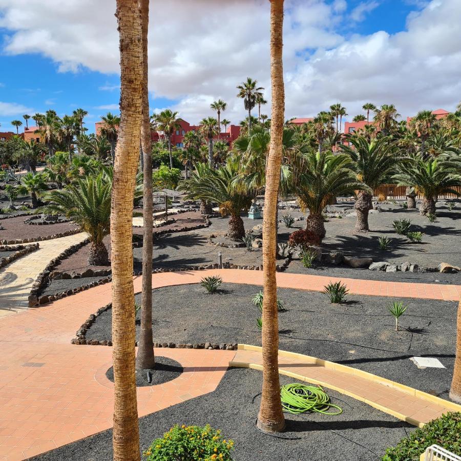 Appartement Oasis Royal F319 à Corralejo Extérieur photo